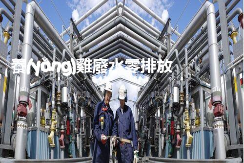 養(yǎng)雞廢水零排放之路？探索高效低成本的綠色處理方案！